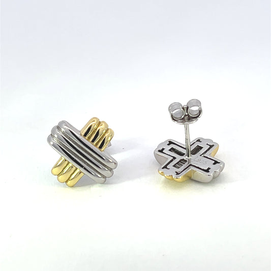 X-Two Tone Earring